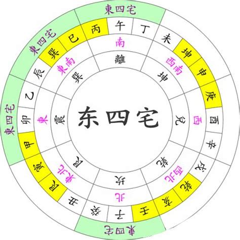 東西四命|【東西四命】掌握命理秘訣：東西四命速查，揭曉你的。